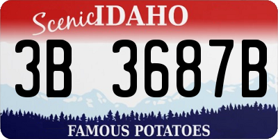 ID license plate 3B3687B