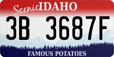 ID license plate 3B3687F
