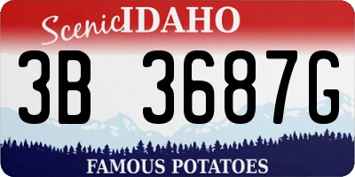 ID license plate 3B3687G