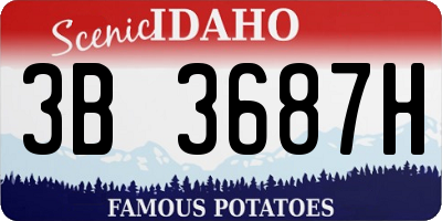 ID license plate 3B3687H