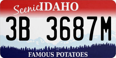 ID license plate 3B3687M