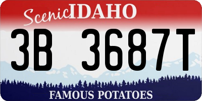 ID license plate 3B3687T