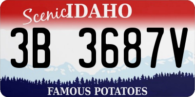 ID license plate 3B3687V