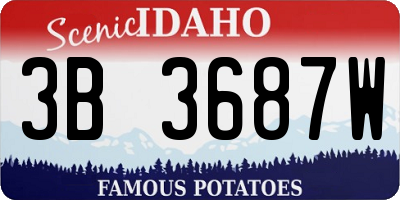 ID license plate 3B3687W