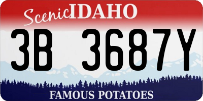 ID license plate 3B3687Y