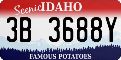 ID license plate 3B3688Y