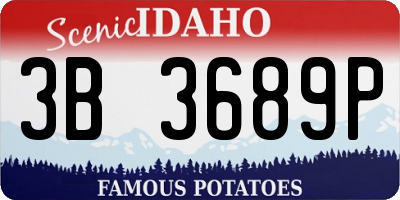 ID license plate 3B3689P