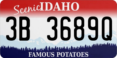 ID license plate 3B3689Q