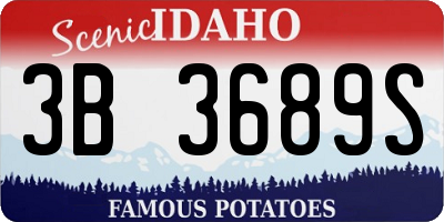 ID license plate 3B3689S