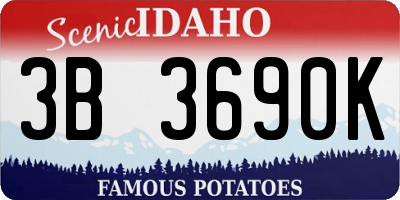 ID license plate 3B3690K