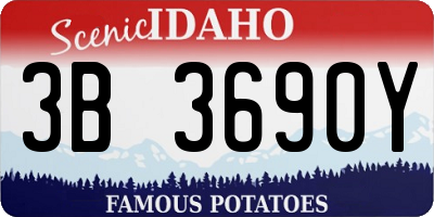 ID license plate 3B3690Y