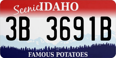 ID license plate 3B3691B