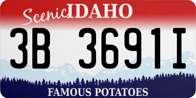 ID license plate 3B3691I