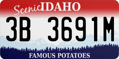 ID license plate 3B3691M