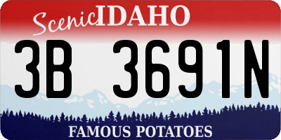 ID license plate 3B3691N
