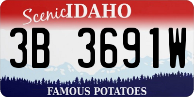 ID license plate 3B3691W