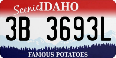 ID license plate 3B3693L