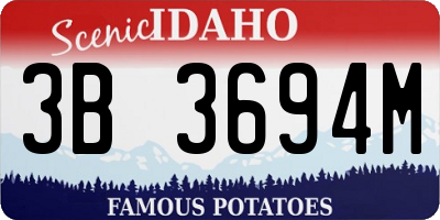 ID license plate 3B3694M