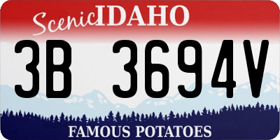 ID license plate 3B3694V