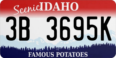 ID license plate 3B3695K