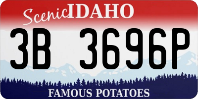 ID license plate 3B3696P