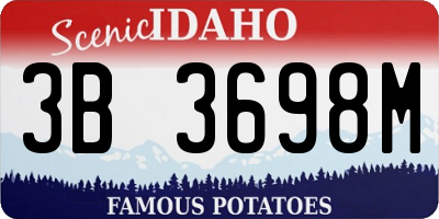 ID license plate 3B3698M