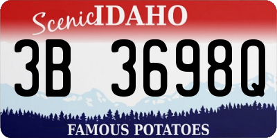 ID license plate 3B3698Q