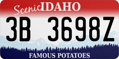 ID license plate 3B3698Z