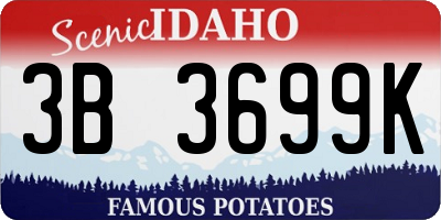 ID license plate 3B3699K