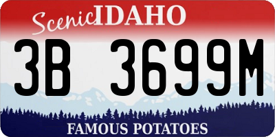 ID license plate 3B3699M