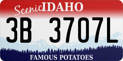 ID license plate 3B3707L