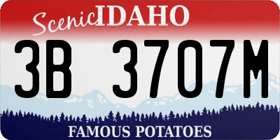 ID license plate 3B3707M