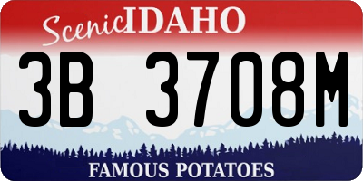 ID license plate 3B3708M
