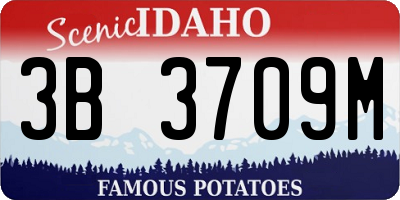 ID license plate 3B3709M