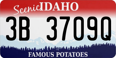 ID license plate 3B3709Q