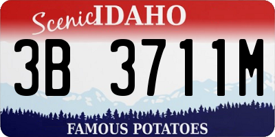 ID license plate 3B3711M