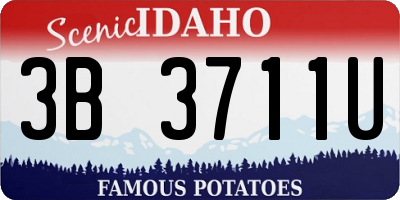 ID license plate 3B3711U