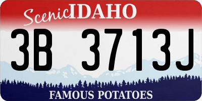 ID license plate 3B3713J