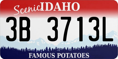 ID license plate 3B3713L