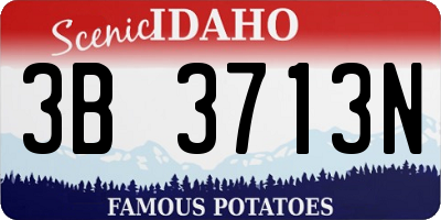ID license plate 3B3713N
