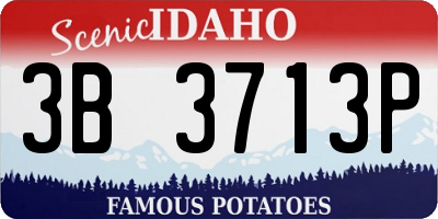 ID license plate 3B3713P