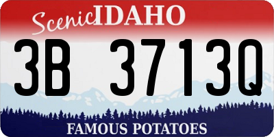 ID license plate 3B3713Q