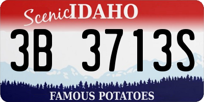 ID license plate 3B3713S