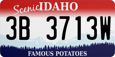 ID license plate 3B3713W