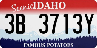 ID license plate 3B3713Y