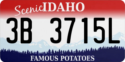 ID license plate 3B3715L