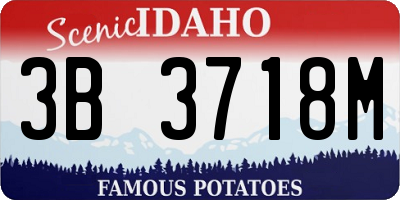 ID license plate 3B3718M