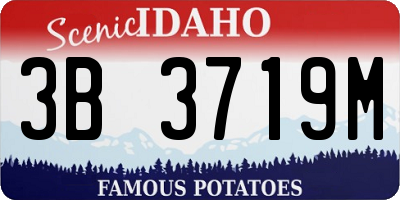 ID license plate 3B3719M