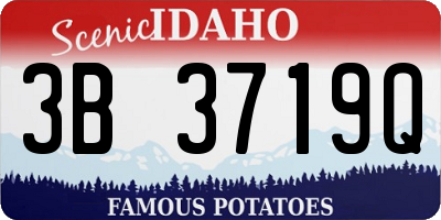 ID license plate 3B3719Q