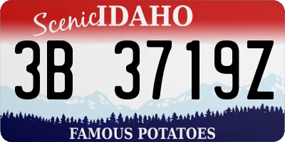 ID license plate 3B3719Z